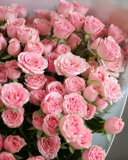 Spray Roses - ROSE &amp; CO