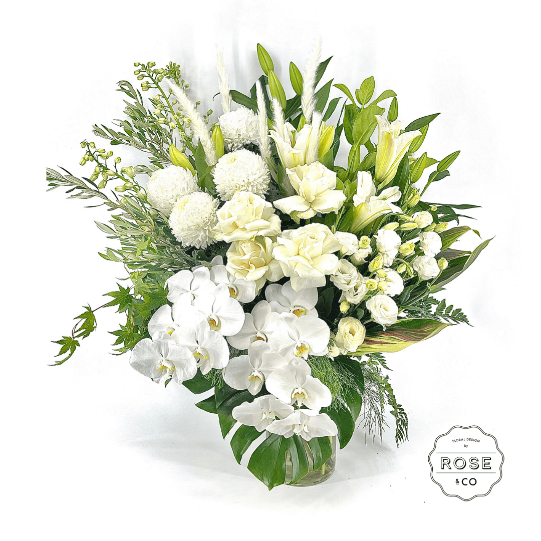 Winter Wonderland - ROSE &amp; CO